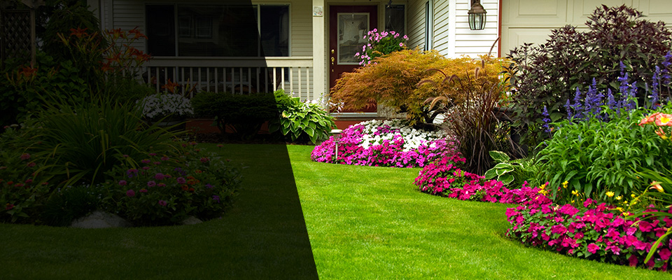 Brightwaters Landscapers