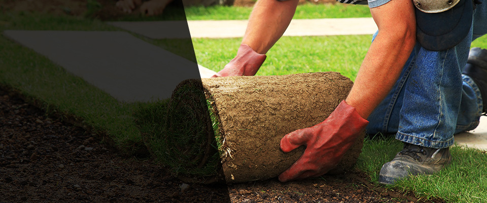 Brightwaters Landscapers